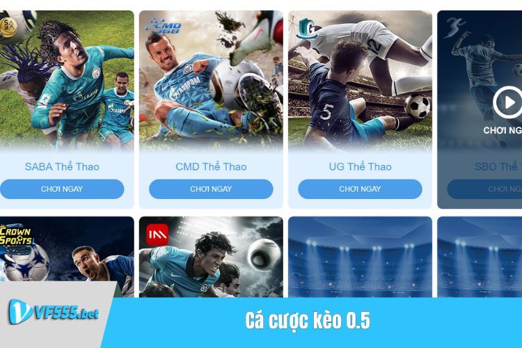 Cá cược kèo 0.5