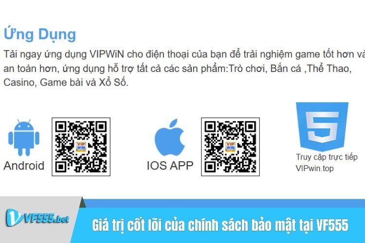 Giá trị cốt lõi của chính sách bảo mật tại VF555