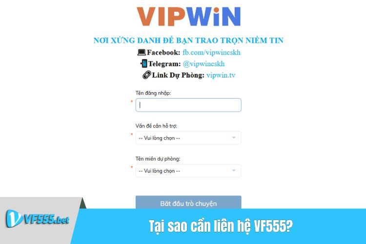 Tại sao cần liên hệ VF555?