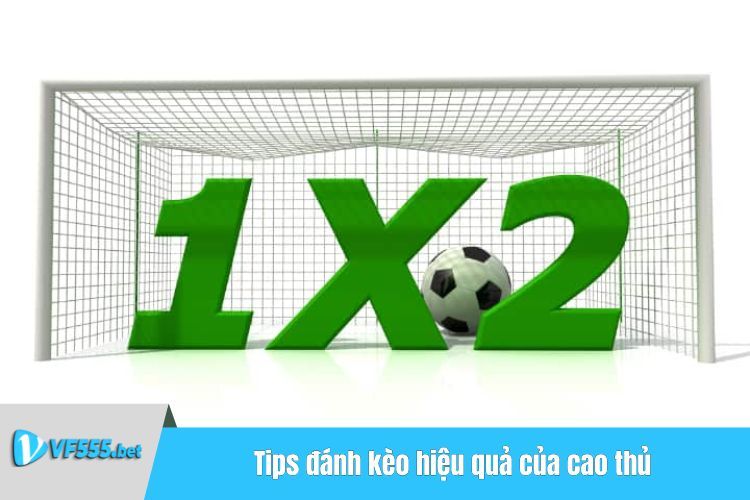 Tips đánh kèo hiệu quả của cao thủ