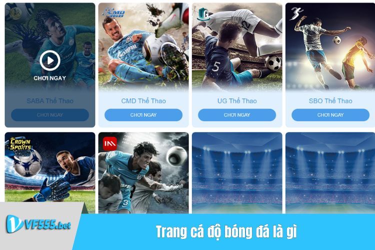 Trang cá độ bóng đá là gì