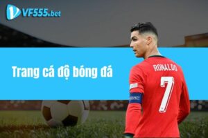 Trang cá độ bóng đá - Top 3 website uy tín hàng đầu 2024